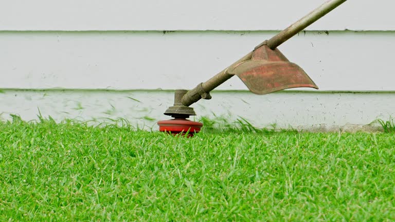 Best Organic Lawn Care Solutions  in Susanville, CA